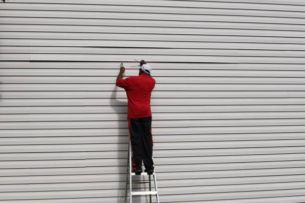 Best Steel Siding Installation  in Mount Pleasant, WI