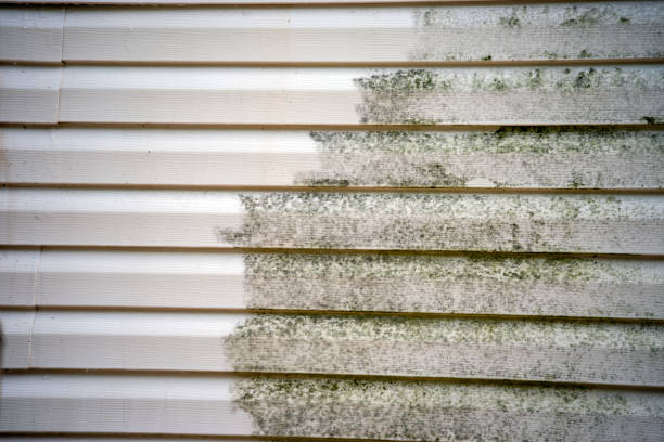 Best Wood Siding Installation  in Mount Pleasant, WI