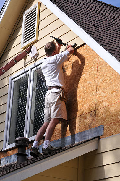 Best Siding Removal and Disposal  in Mount Pleasant, WI